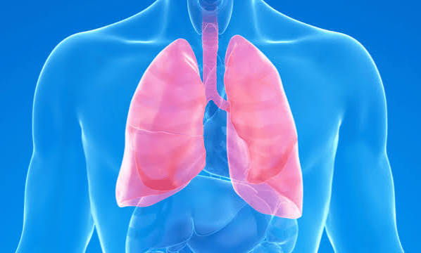 Doenças Respiratórias